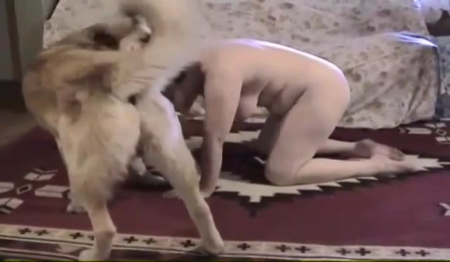 Perro Provoca Una Eyaculación A Una Mujer Porno Bizarro Sexo Extremo Vídeos Xxx Brutales
