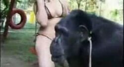 Chica quiere tener sexo con un mono