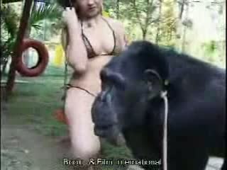 Zoofilia Con Monos - Chica quiere tener sexo con un mono | Porno Bizarro, Sexo Extremo, Videos  XXX Brutales