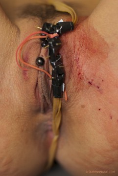 Fotos Extremas Tortura BDSM