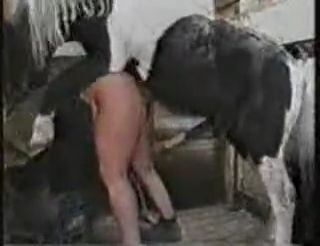 Mujeres Con Caballos Porn - Mujer goza con la polla del caballo | Porno Bizarro, Sexo Extremo, Videos  XXX Brutales
