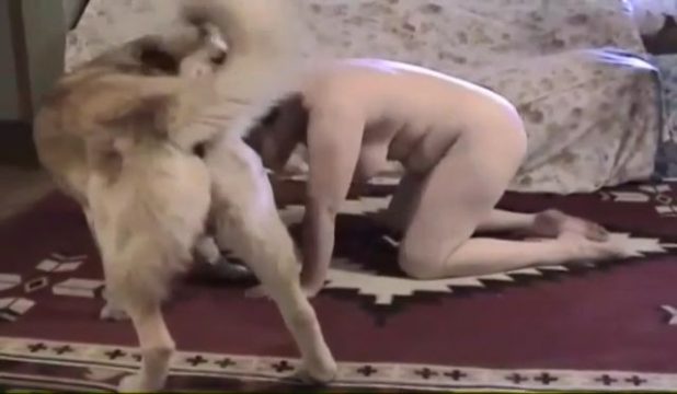Perro Provoca Una Eyaculación A Una Mujer Porno Bizarro Sexo Extremo Videos Xxx Brutales