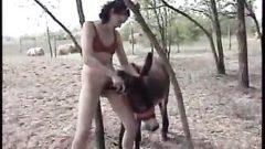 Mujer Puta follando con un burro