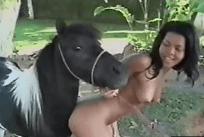 Sex Con Caballos - Sexo caliente con caballos video de animales | Porno Bizarro, Sexo Extremo,  Videos XXX Brutales