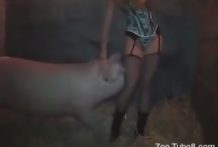 Video XXX Cerdo se coge a una mujer zoofílica